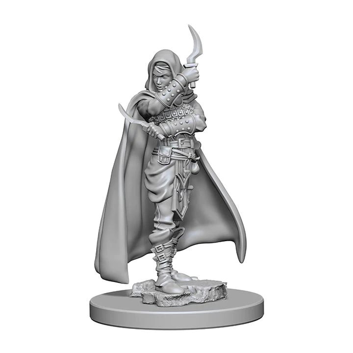 Pathfinder Deep Cuts Unpainted Miniatures Human Female Rogue Dungeons & Dragons WizKids   