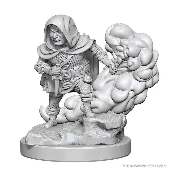 D&D Nolzur's Marvelous Miniatures Halfling Male Rogue Dungeons & Dragons WizKids   