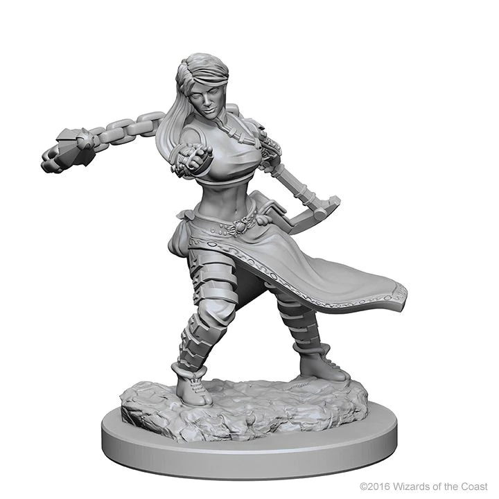 D&D Nolzurs Marvelous Unpainted Miniatures Human Female Monk Dungeons & Dragons WizKids   