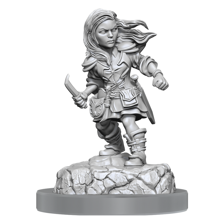 D&D Nolzurs Marvelous Miniatures Halfling Rogue Female Dungeons & Dragons Wizards of the Coast Default Title  