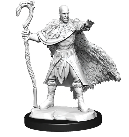 D&D Nolzurs Marvelous Unpainted Miniatures Human Druid Male Dungeons & Dragons WizKids   