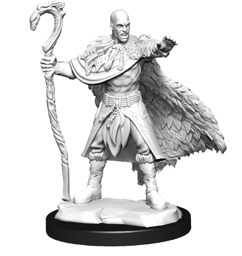 D&D Nolzurs Marvelous Unpainted Miniatures Human Druid Male Dungeons & Dragons WizKids   