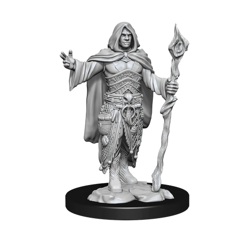 D&D Nolzurs Marvelous Unpainted Miniatures Human Druid Male Dungeons & Dragons WizKids   