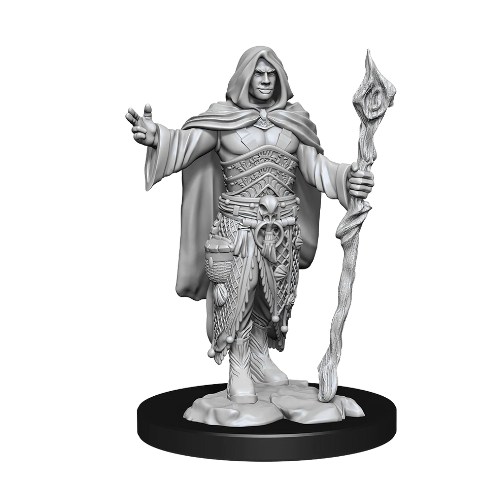 D&D Nolzurs Marvelous Unpainted Miniatures Human Druid Male Dungeons & Dragons WizKids   