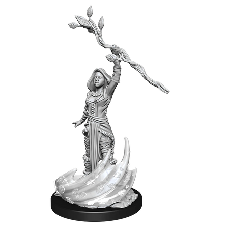 D&D Nolzurs Marvelous Unpainted Miniatures Human Druid Female Dungeons & Dragons WizKids   