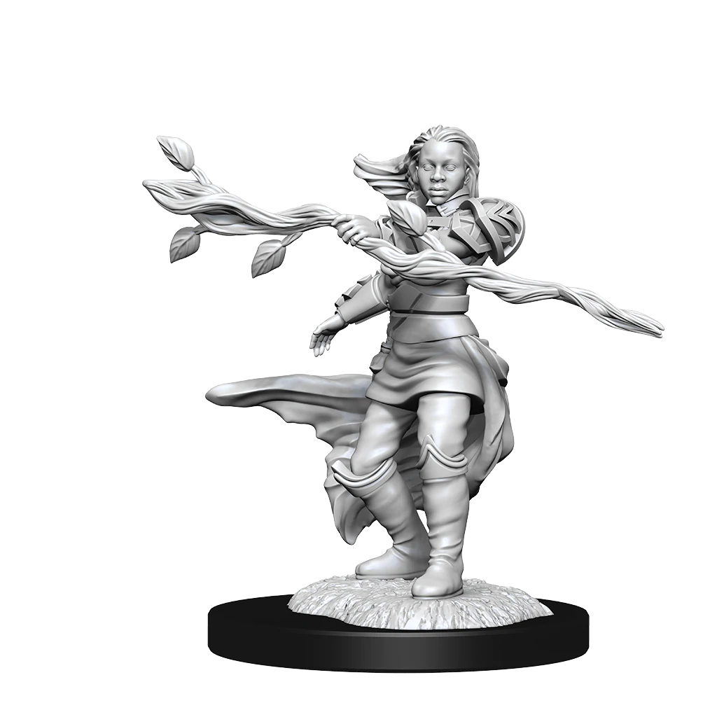 D&D Nolzurs Marvelous Unpainted Miniatures Human Druid Female Dungeons & Dragons WizKids   