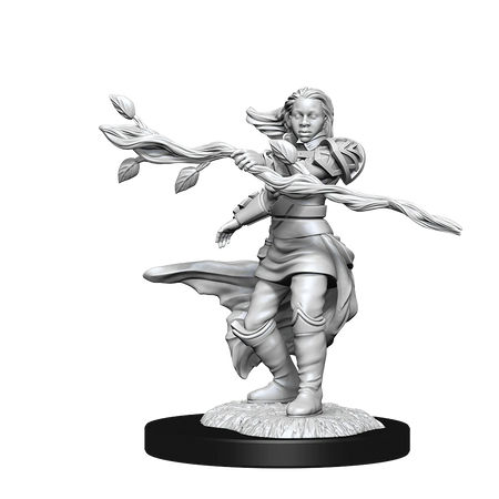 D&D Nolzurs Marvelous Unpainted Miniatures Human Druid Female Dungeons & Dragons WizKids   