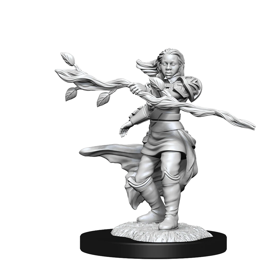 D&D Nolzurs Marvelous Unpainted Miniatures Human Druid Female Dungeons & Dragons WizKids   