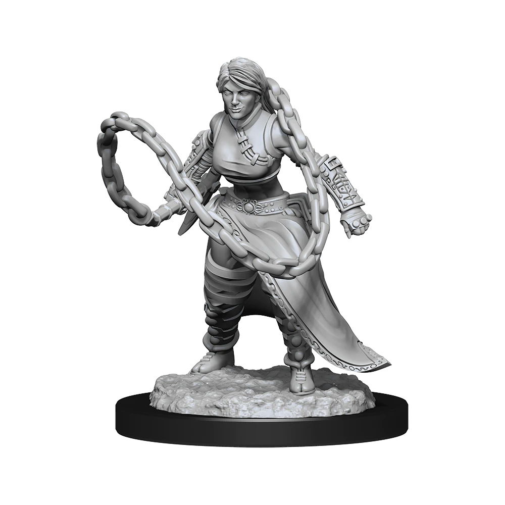 D&D Nolzurs Marvelous Unpainted Miniatures Human Monk Female Dungeons & Dragons WizKids   