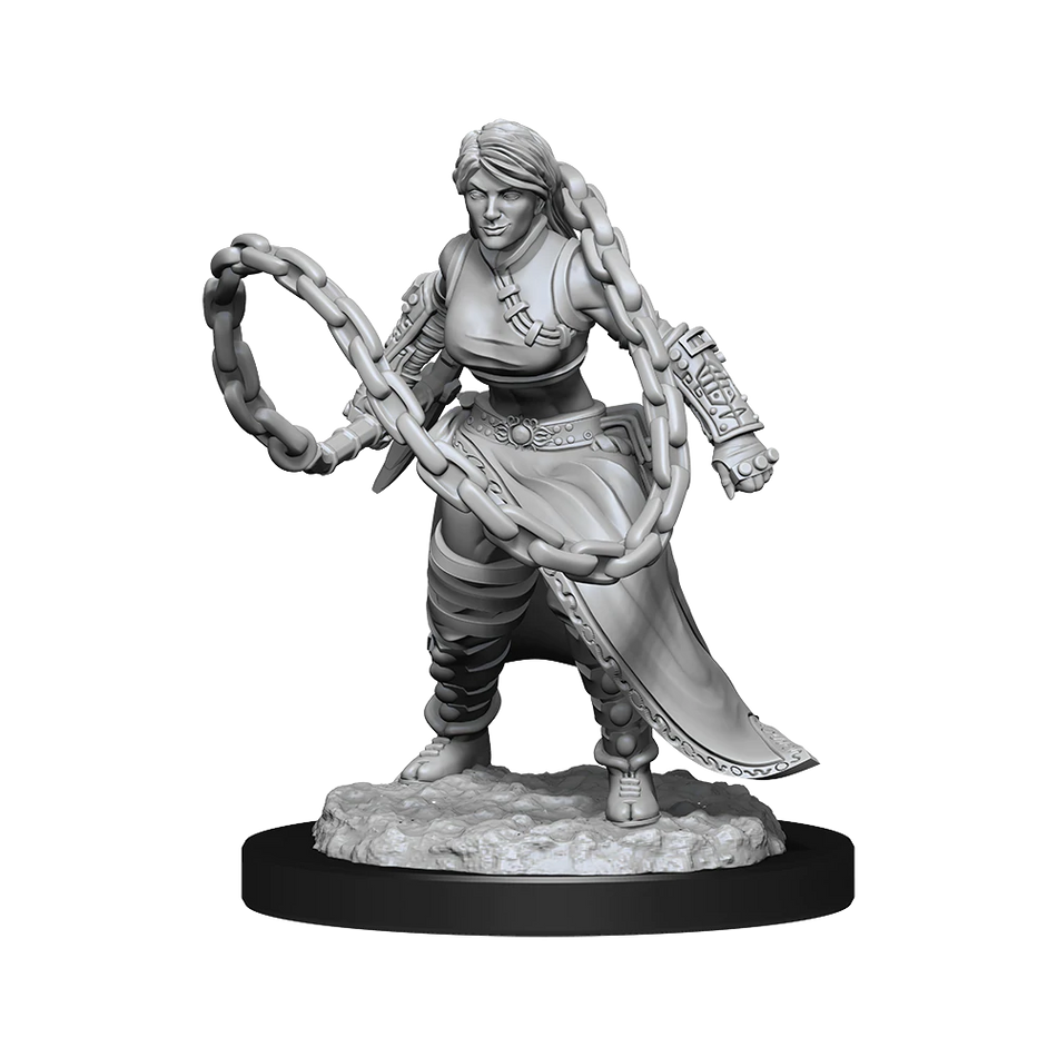 D&D Nolzurs Marvelous Unpainted Miniatures Human Monk Female Dungeons & Dragons WizKids   