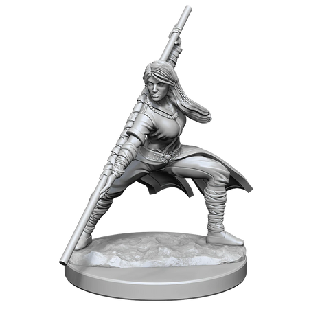 D&D Nolzurs Marvelous Unpainted Miniatures Human Monk Female Dungeons & Dragons WizKids   