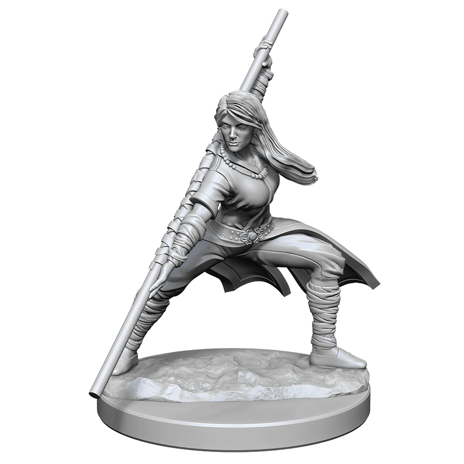 D&D Nolzurs Marvelous Unpainted Miniatures Human Monk Female Dungeons & Dragons WizKids   