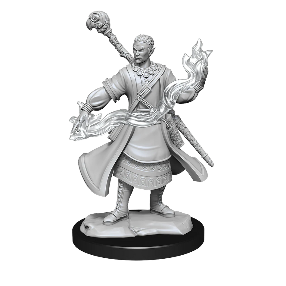 D&D Nolzurs Marvelous Unpainted Miniatures Half-Elf Wizard Male Dungeons & Dragons WizKids   