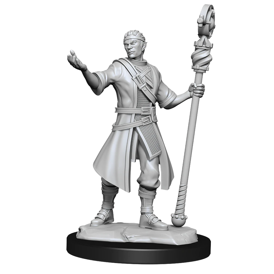 D&D Nolzurs Marvelous Unpainted Miniatures Half-Elf Wizard Male Dungeons & Dragons WizKids   