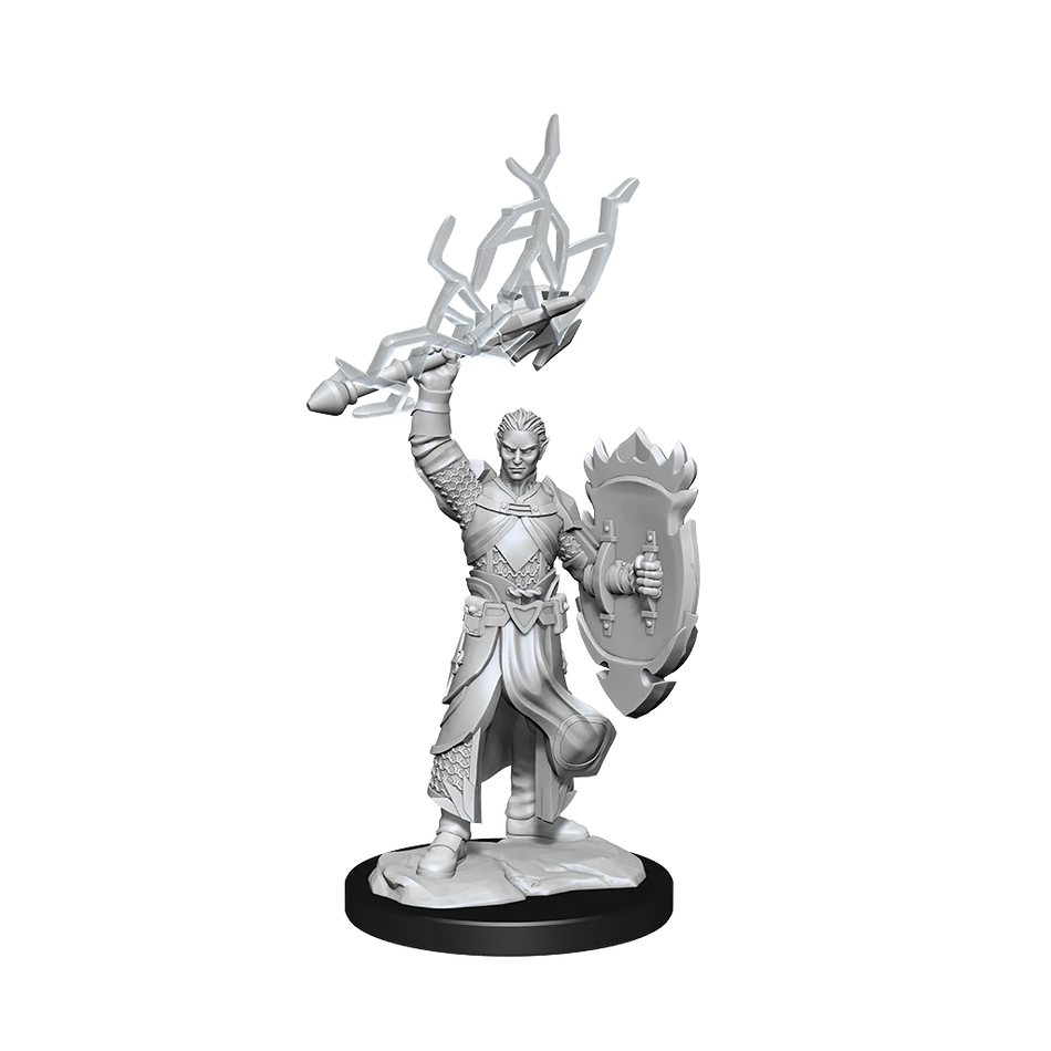 D&D Nolzurs Marvelous Unpainted Miniatures Half-Elf Paladin Male Dungeons & Dragons WizKids   