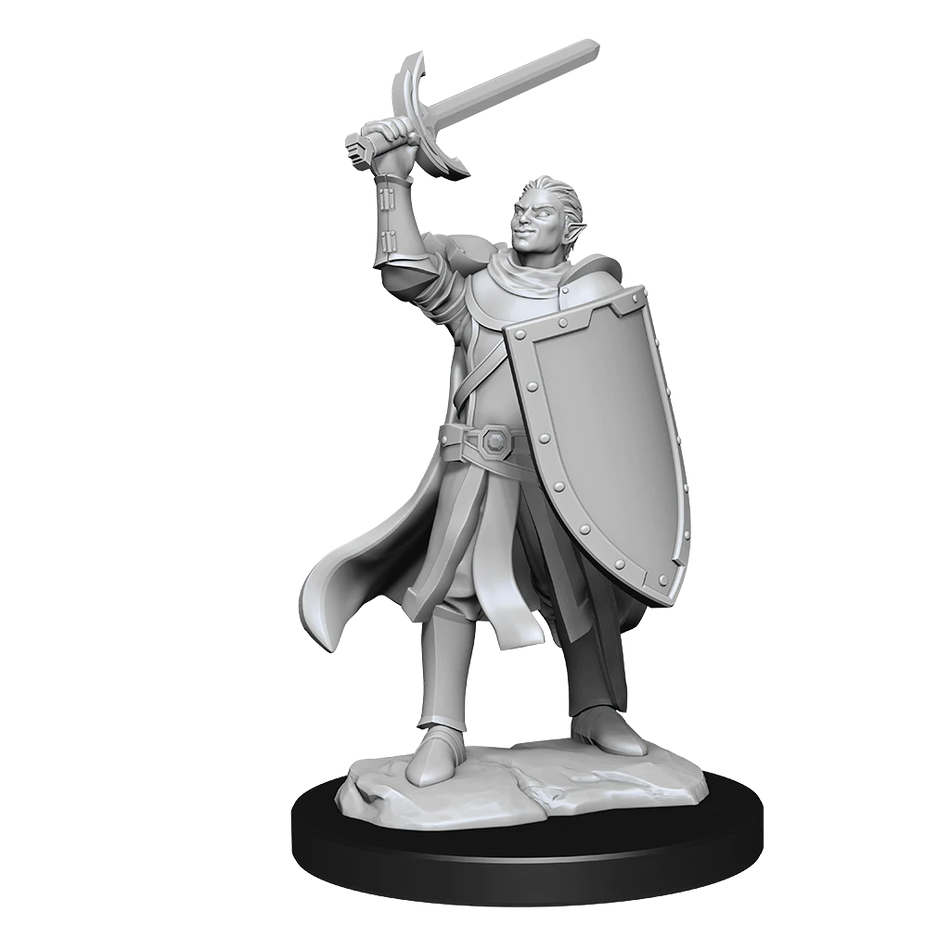 D&D Nolzurs Marvelous Unpainted Miniatures Half-Elf Paladin Male Dungeons & Dragons WizKids   