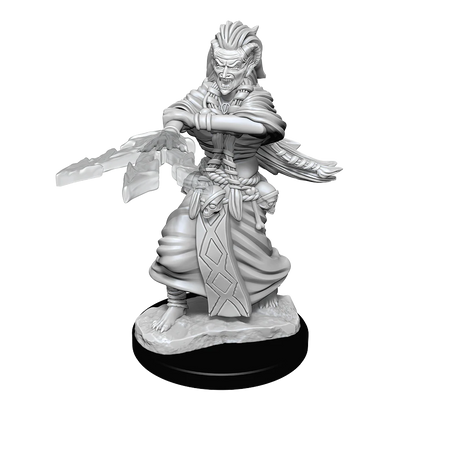 D&D Nolzurs Marvelous Unpainted Miniatures Night Hag & Dusk Hag Dungeons & Dragons WizKids   