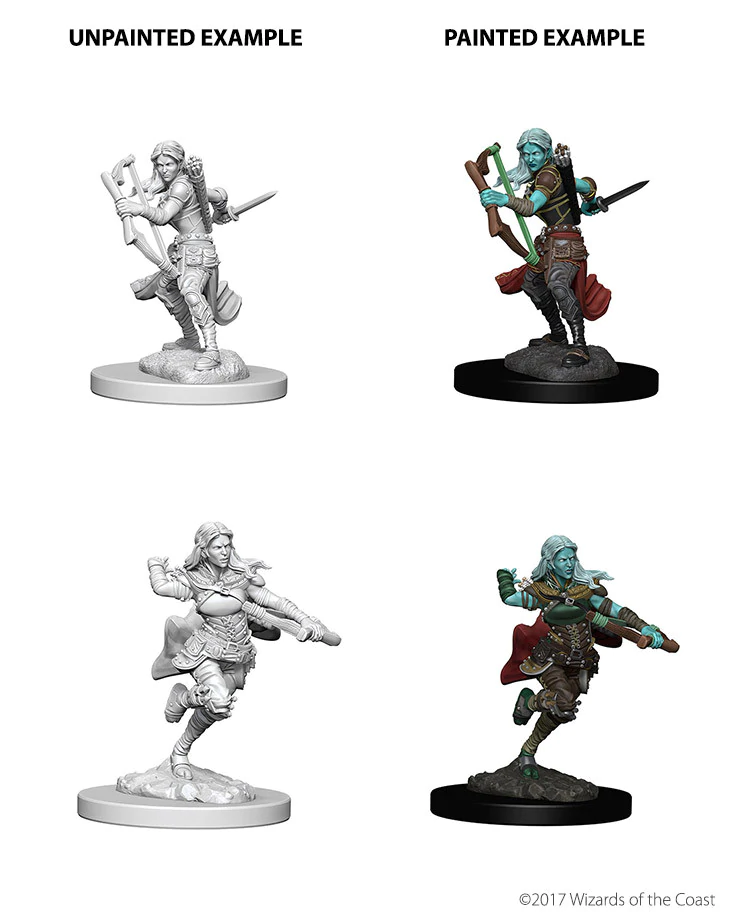 D&D Nolzurs Marvelous Unpainted Miniatures Air Genasi Female Rogue Dungeons & Dragons WizKids   