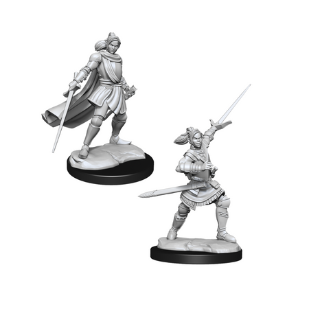 Critical Role Unpainted Miniatures Half-Elf Paladin Xhorhas Female Pathfinder WizKids Default Title  