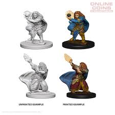 D&D Nolzurs Marvelous Unpainted Miniatures Dwarf Female Wizard Dungeons & Dragons WizKids   