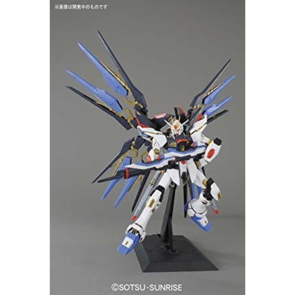 PG 1/60 STRIKE FREEDOM GUNDAM Gundam Model Kit Bandai   