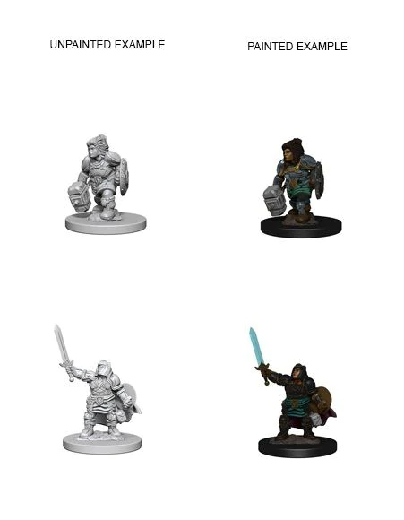 D&D Nolzurs Marvelous Unpainted Miniatures Dwarf Female Paladin Dungeons & Dragons WizKids   