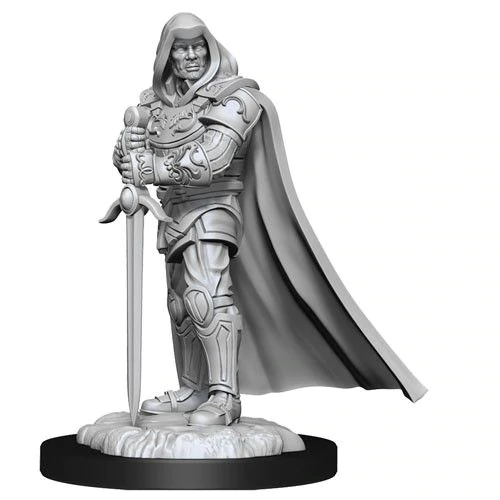 D&D Nolzurs Marvelous Unpainted Miniatures Human Paladin Male Dungeons & Dragons WizKids   