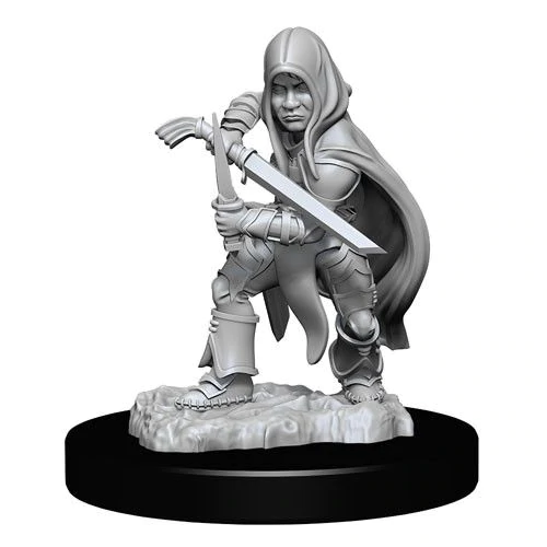 D&D Nolzurs Marvelous Unpainted Miniatures Halfling Rogue Male Dungeons & Dragons WizKids   