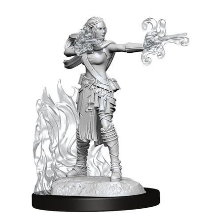 D&D Nolzurs Marvelous Unpainted Miniatures Female Multiclass Warlock + Sorcerer Dungeons & Dragons WizKids   