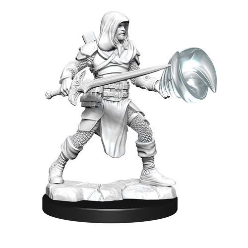 D&D Nolzurs Marvelous Unpainted Miniatures Male Multiclass Fighter + Wizard Dungeons & Dragons WizKids   