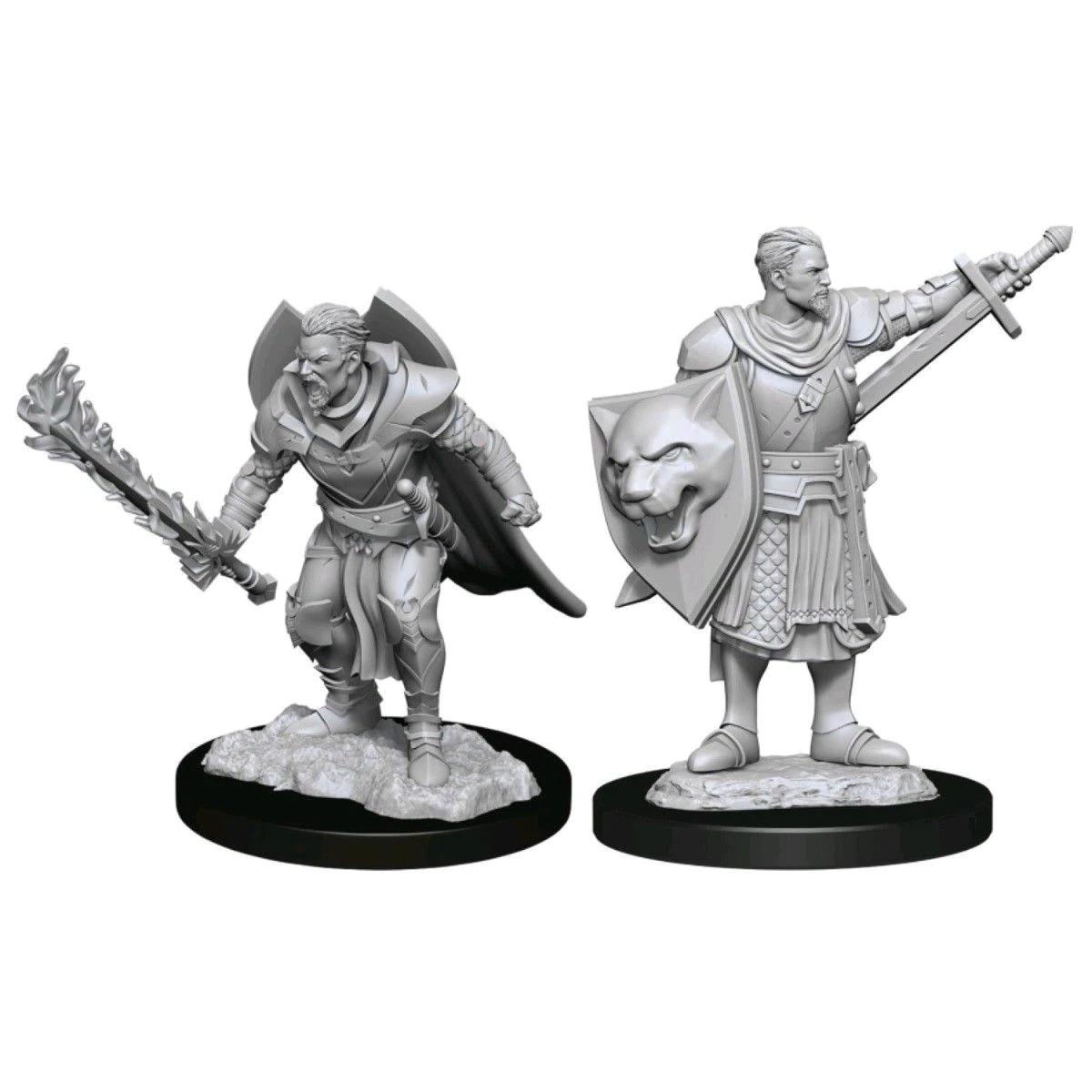 Pathfinder Deepcuts Unpainted Miniatures Human Champion Male Dungeons & Dragons WizKids   