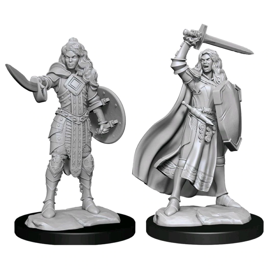 Pathfinder Deepcuts Unpainted Miniatures Human Champion Female Dungeons & Dragons WizKids   