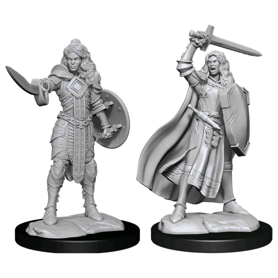 Pathfinder Deepcuts Unpainted Miniatures Human Champion Female Dungeons & Dragons WizKids   