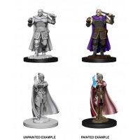 D&D Nolzurs Marvelous Unpainted Miniatures Human Ranger & Moon Elf Sorcerer Dungeons & Dragons WizKids   